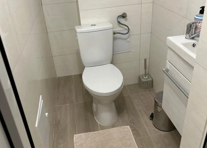 Romana Boutique 3* Βουκουρέστι